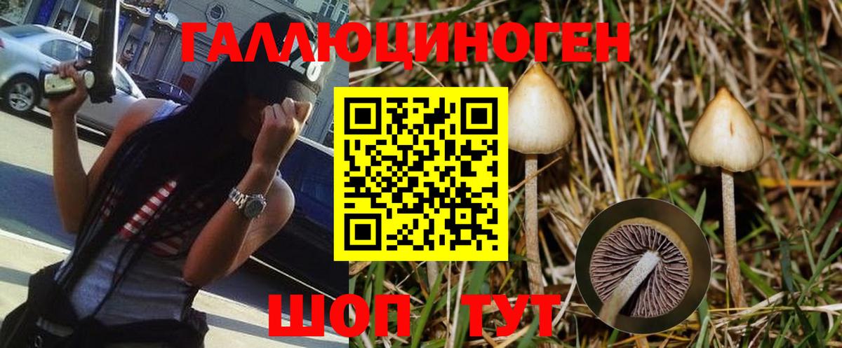 Галлюциногенные грибы мухоморы  Вход с VPN  Псилоцибиновые грибы ЛСД  Ангарск 